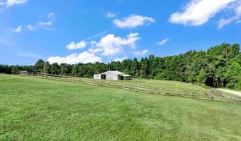 1604 COUNTY ROAD 80, Addison, AL 35540