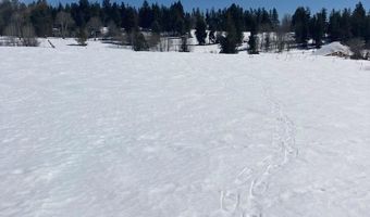 1656 Shadow Loop S, Ashton, ID 83420