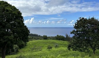 47-4536 HONOKAA WAIPIO Rd Lot #: B-1, Honokaa, HI 96727