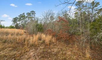 868 County Road 2920, Alba, TX 75410