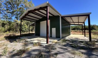 1011 Granny Hollar Rd, Atkins, AR 72823