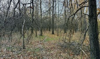 0002 CR-290, Asbury, MO 64832