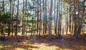 MISTLETOE RD lot 7, Appling, GA 30802