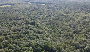 Reeves Road, Ashland, MS 38603