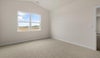 41 Stone Apiary Dr, Angier, NC 27501