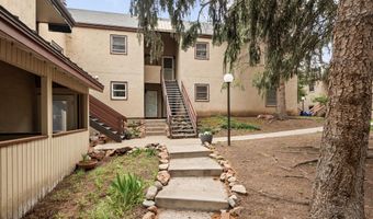 415 Pacific Ave C, Aspen, CO 81611