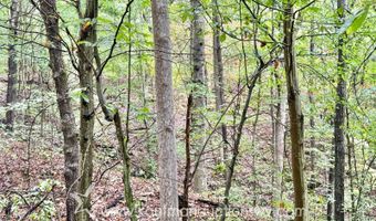 Jesse Run Rd, Arnoldsburg, WV 25234