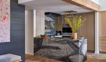 500 W Smuggler St, Aspen, CO 81611