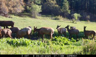 15098 CR 240, Bayfield, CO 81122