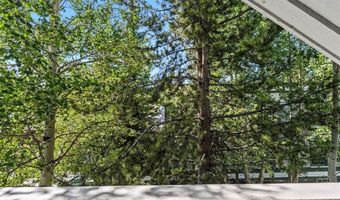308 N French St 1, Breckenridge, CO 80424
