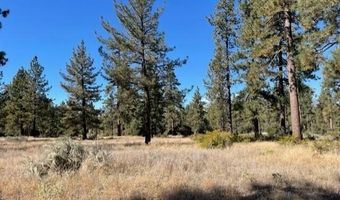Lot 18 Pyramid Peak Road, Mountain Center, CA 92561