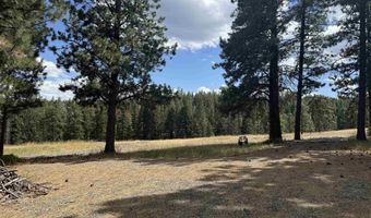 Tbd Harlow Ridge Rd - Cloverland Estates 36 & 37, Asotin, WA 99402