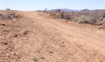 308-19 248 N Abeche Dr, Chloride, AZ 86431