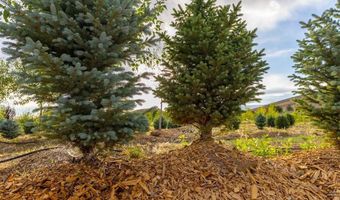 9001 2100 Rd, Austin, CO 81410