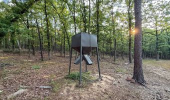 Old Moyers Road, Antlers, OK 74523