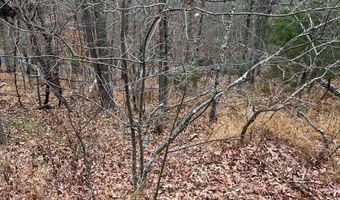 HAMPTON Street, Basye, VA 22810