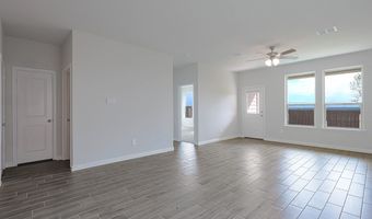 304 POTATO St, Keene, TX 76059