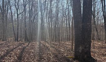 PAYNES POND RD, Arvonia, VA 23004