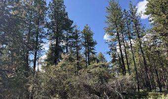 Thunder Bear Road, Bonanza, OR 97623