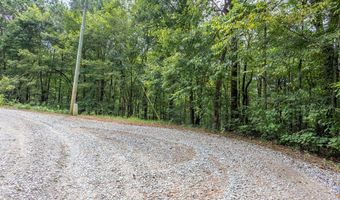 3 Ac Chestnut Flats Rd, Andrews, NC 28901