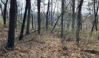 SHANKTOWN Road lot 10, Big Pool, MD 21711