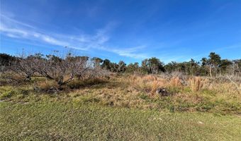 18250 RAVENSWOOD Rd, Altoona, FL 32702