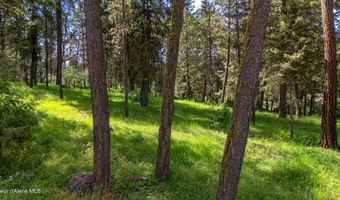 NNA STONERIDGE LOT 1, Blanchard, ID 83804