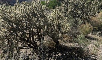 Carp Road, Caliente, NV 89008