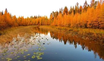 21291 Firefly Trl, Akeley, MN 56433