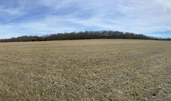 Tract 1 County Road 14-534, Ava, MO 65608