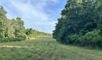 County Road 304, Alton, MO 65606