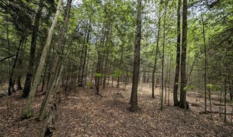 Stewart Road, Addison, NY 14801