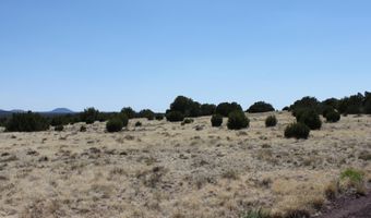 36 County Road 8249, Concho, AZ 85924