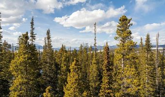 Homestead 17 Cumberland Drive lot 17, Breckenridge, CO 80424