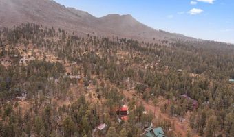 9 Co Rd 2074 # 2074, Alpine, AZ 85920