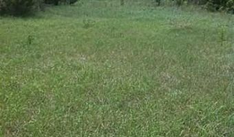 0000 FM 1602, Hico, TX 76457