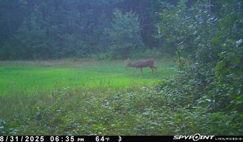 8752 HWY A, Almond, WI 54909