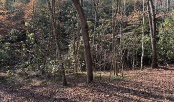 1834 Bristol Ave, Andrews, NC 28901