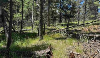 Calle de los Indios lot 44, Angel Fire, NM 87710