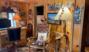 124 Ski Rd, Allenspark, CO 80510