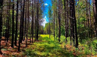 Arthur Drive, Brookhaven, MS 39601