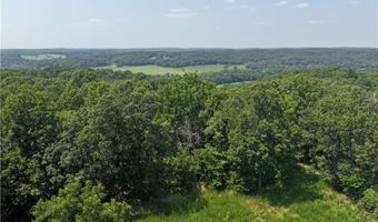 71 8 Klondike Rd, Anderson, MO 64831