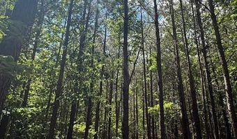 Piney Mountain Rd, Appomattox, VA 24522