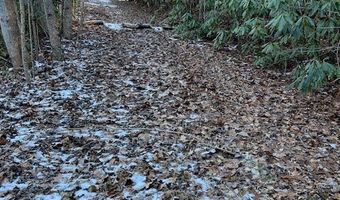 621 Round Top Rd Lot 3B, Almond, NC 28702