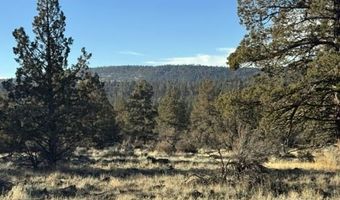 Canvasback Drive, Bonanza, OR 97623