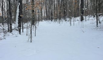 9606 Munger Rd, Afton, MI 49705