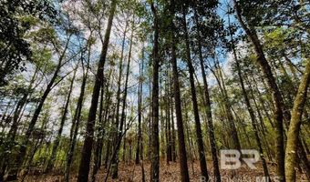 002 Phillipsville Rd, Bay Minette, AL 36507