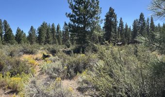 Bufflehead Drive 18, Bonanza, OR 97623