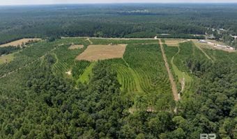 0 Horseneck Rd, Bay Minette, AL 36507