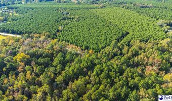 TBD I M Graham Rd, Cades, SC 29518